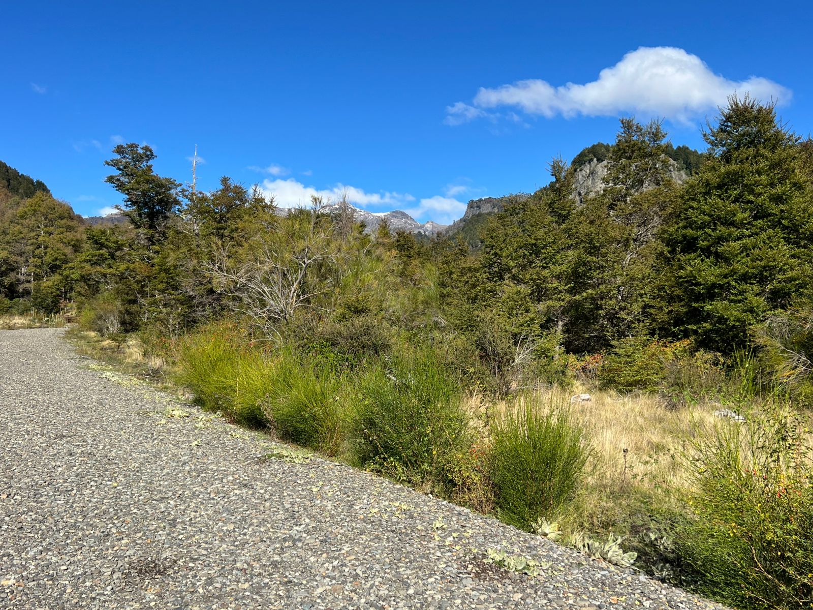 https://cdn.dataprop.cl/photos/images/001/211/419/original/Parcela_A5_Vista_Cumbres_pre_cordillera_Malalcahuello_REMAX_Futuro_6.JPG?1783971724
